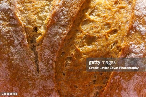 freshly baked organic bread - baguette de pain photos et images de collection