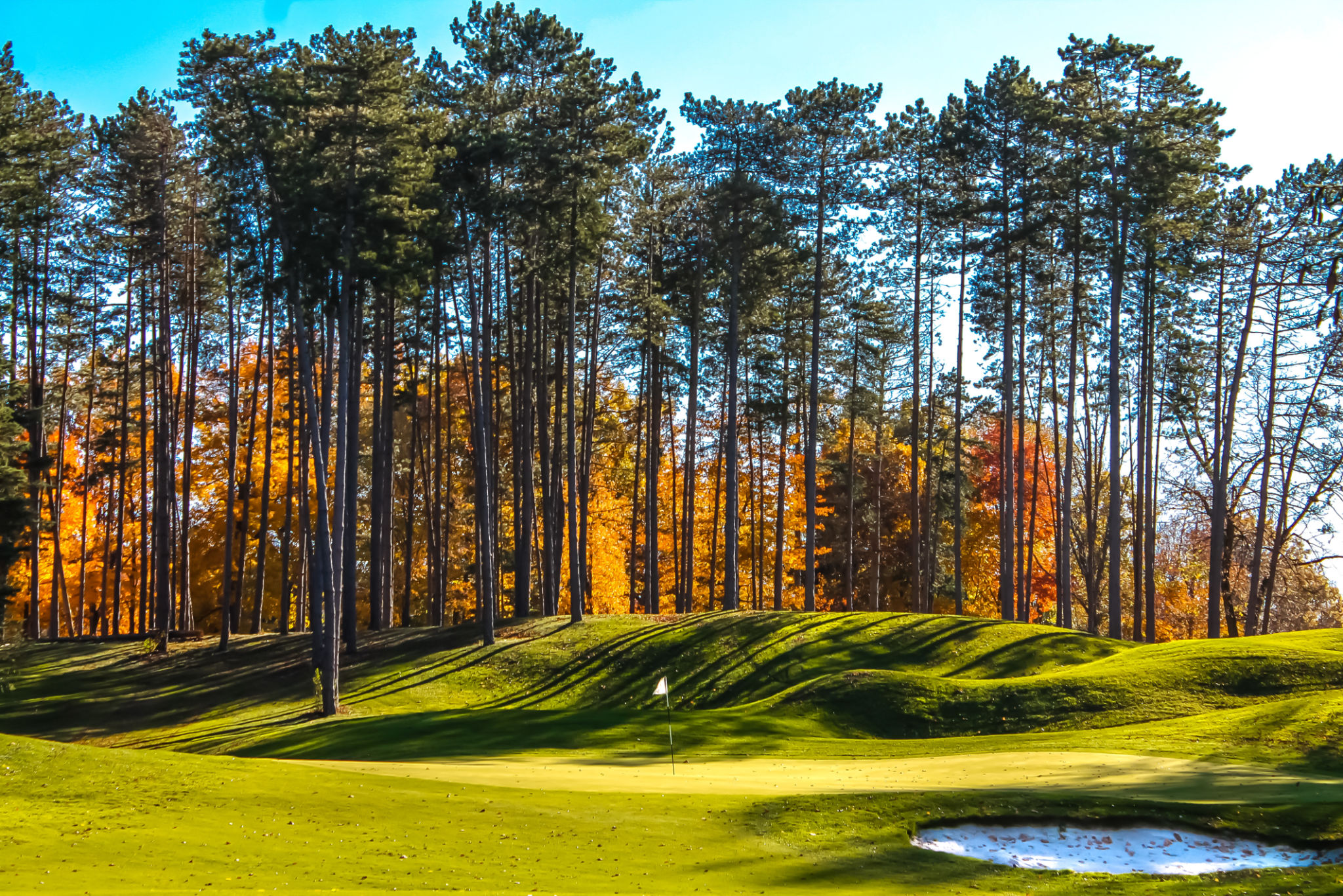 Ohio golf landscape