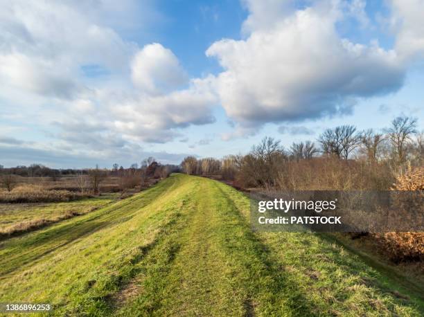 footpath on the top of the dike next to river vistula in the vicinity of palmiry village, poland. - embankment stock-fotos und bilder