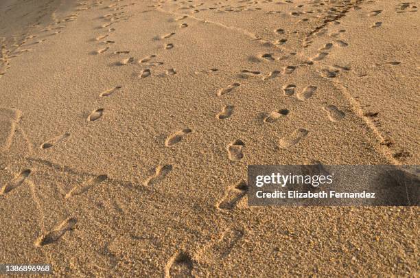 tracks in the sand - shoe print stock pictures, royalty-free photos & images