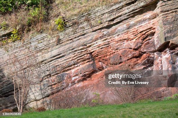 Tilting Rocks 66 Tilted Sedimentary Rock Layers Stock Photos, High-Res Pictures, and ...