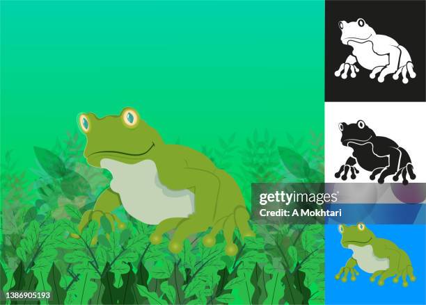 ilustraciones, imágenes clip art, dibujos animados e iconos de stock de icono de rana - zoo animals black and white clip art