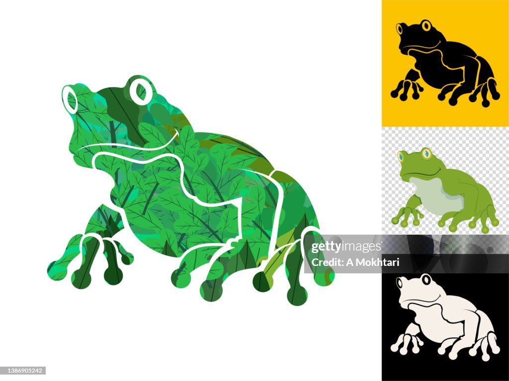 Frog icon