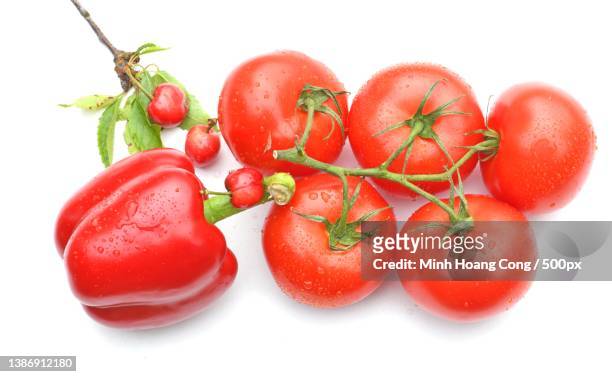 beautiful red tomatoes,close-up of wet tomatoes over white background - acerola stock pictures, royalty-free photos & images