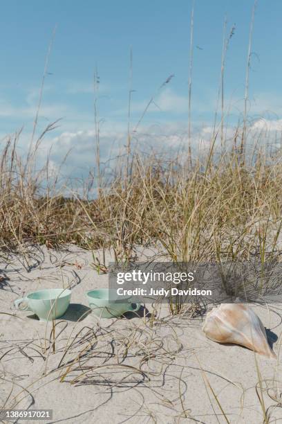 pair of mint green cups on sand dune with shell - atlantic beach north carolina fotografías e imágenes de stock