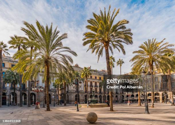 unusual view of the iconic plaça reial square (plaza real) in barcelona city center, during a sunny day of january. - barcelone stock pictures, royalty-free photos & images