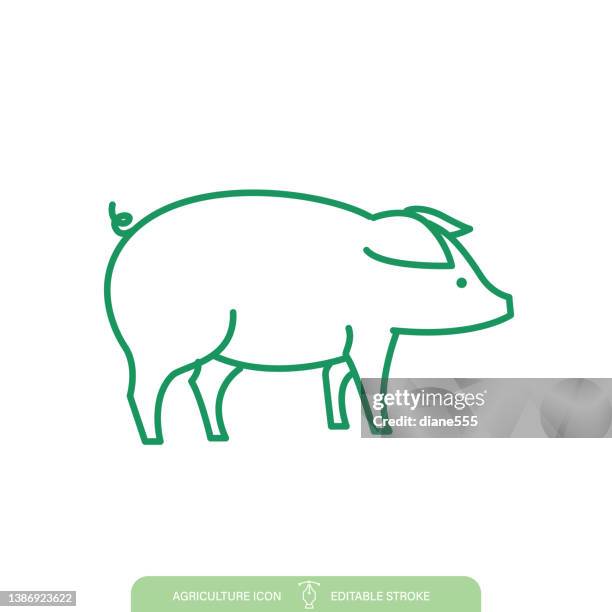 ilustrações de stock, clip art, desenhos animados e ícones de simple pig agriculture line icon on a transparent background - porco