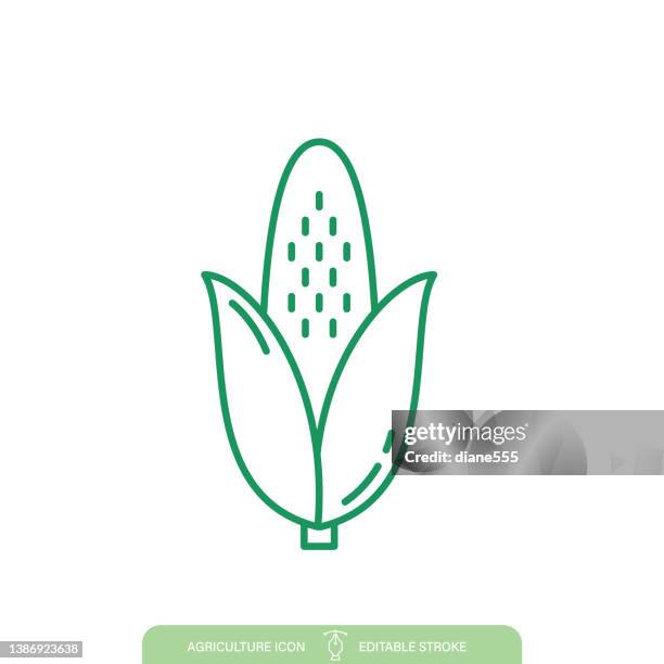 simple corn agriculture line icon on a transparent background - corn isolated stock illustrations