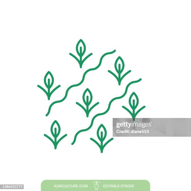 stockillustraties, clipart, cartoons en iconen met crops rows agriculture line icon on a transparent background - omgeploegd veld