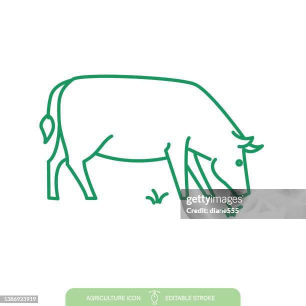 stockillustraties, clipart, cartoons en iconen met simple cow beef farm line icon on a transparent background - livestock infograph