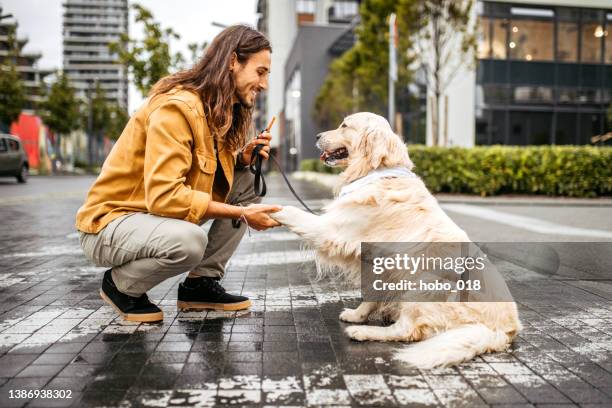 taking a break for a dog treats after long morning walk - dog and human hand stock pictures, royalty-free photos & images