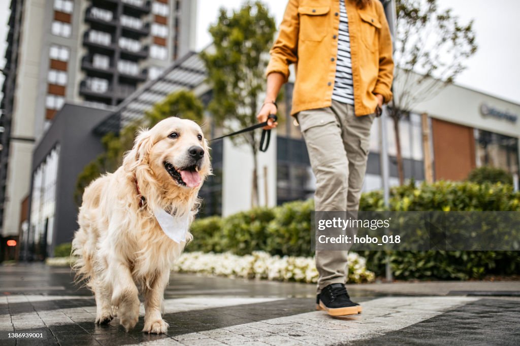 Joven y su perro paseando en un día lluvioso
