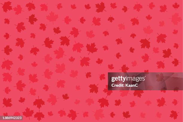 random maple leaf icon. canadian symbol. abstract background. vector illustration. stock illustration - canadian maple leaf icon stock illustrations