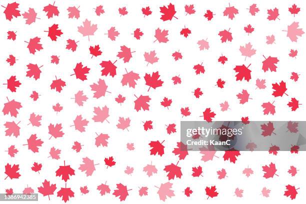 random maple leaf icon. canadian symbol. abstract background. vector illustration. stock illustration - red maple leaf stock illustrations