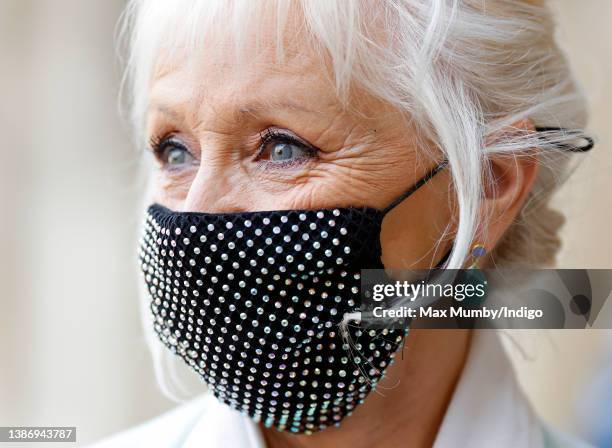 Debbie McGee Celebrity Face Mask Debbie McGee Celebrity Face Mask