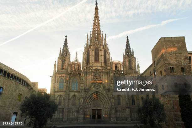 barcelona cathedral at dawn - barcelona cathedral stock pictures, royalty-free photos & images