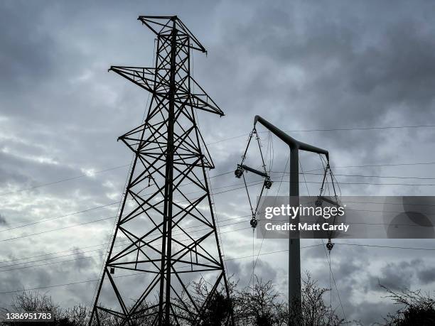 New style electricity pylon is seen besides an older style pylon , near Mark on January 22, 2022 in Somerset, England. The new pylons are part of a...