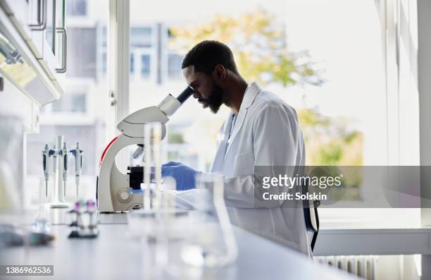 scientist looking into microscope - medicinsk forskning bildbanksfoton och bilder