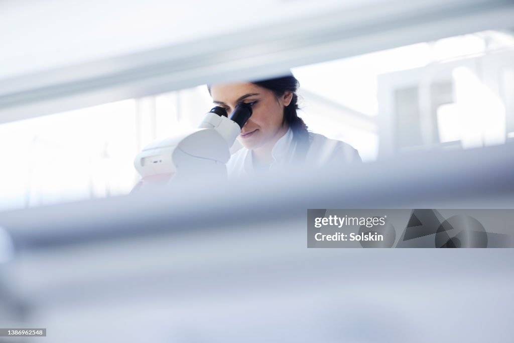 Young female scientist working in laboratory