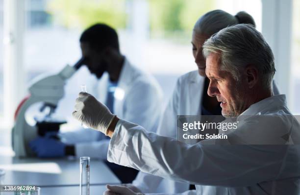 scientists working together in laboratory - biotechnologie stockfoto's en -beelden