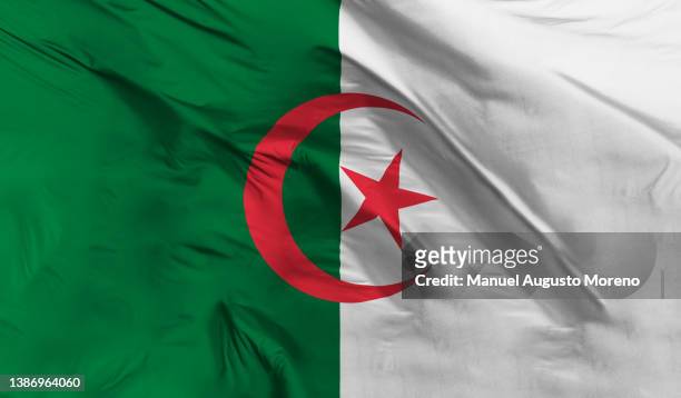 flag of algeria - algerian flag stockfoto's en -beelden