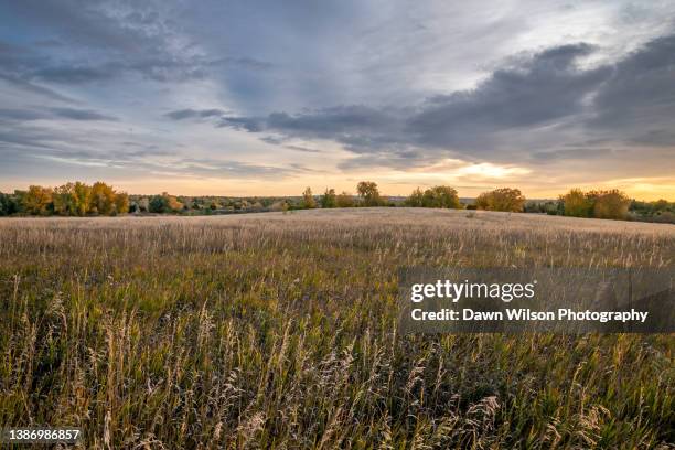 two_ponds_nwr_2014_2 - arvada colorado stock pictures, royalty-free photos & images