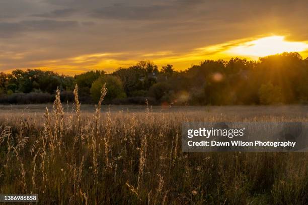 two_ponds_nwr_2014_1 - arvada colorado stock pictures, royalty-free photos & images