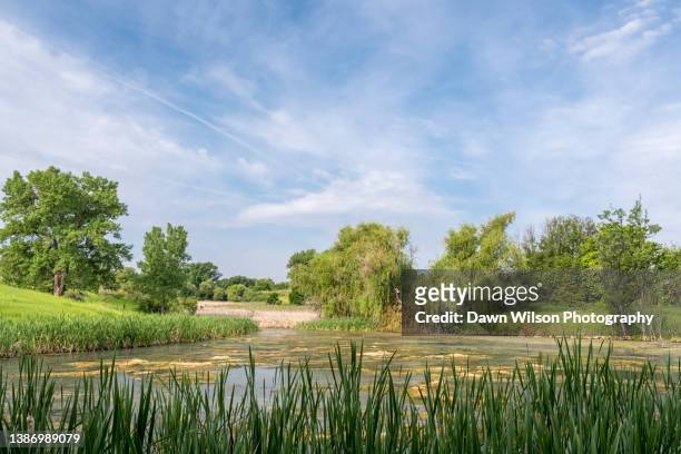 pond_at_tpnwr_2021_1 - arvada colorado stock pictures, royalty-free photos & images