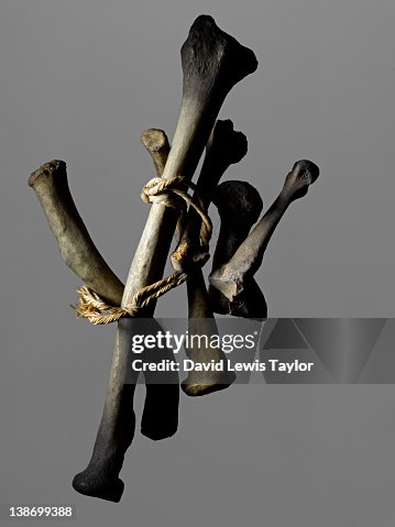 Found Bones With String Found Bones With String