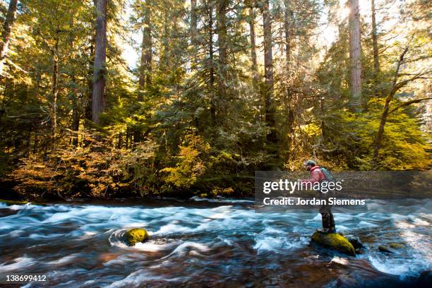 High Rocks Estacada 130 Estacada Oregon Stock Photos, High-Res Pictures, and Images - Getty ...