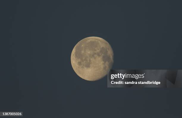 the magnificent worm moon, seen from hertford heath, uk, march 2022. - worm moon fotografías e imágenes de stock