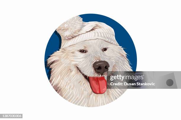 37点のサモエド犬イラスト素材 Getty Images 37点のサモエド犬イラスト素材 Getty Images