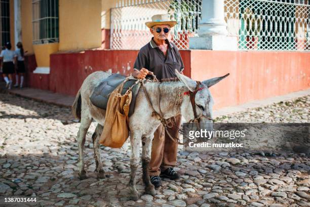 734 Donkey Hat Photos Premium High Pictures - Getty Images