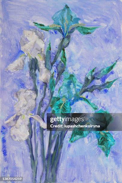 illustration  oil painting landscape white irises flowers on long stems their buds on a blue background of grass leaves of garden plants - the purple iris stock illustrations