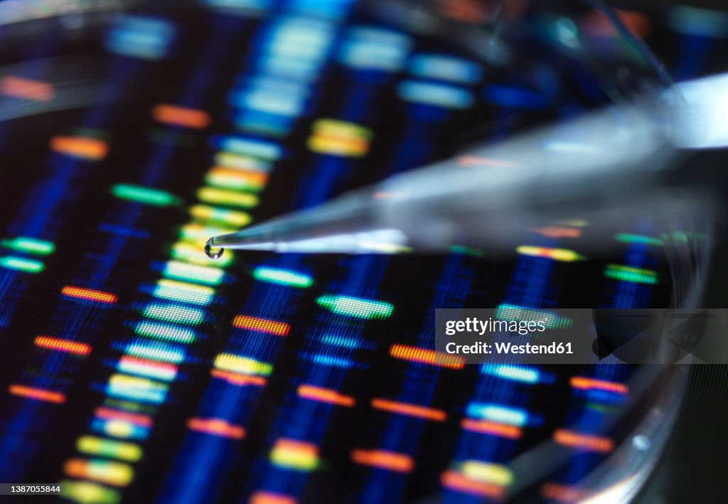 Pipetting sample into tray for DNA testing