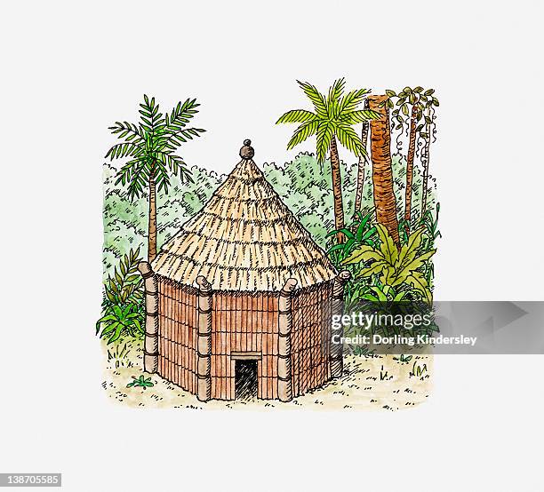 illustration of a taino house, hispaniola - thatched roof stock-grafiken, -clipart, -cartoons und -symbole