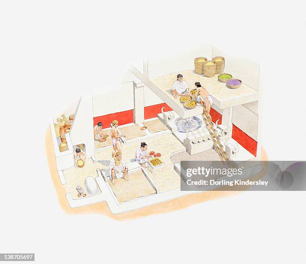 ilustraciones, imágenes clip art, dibujos animados e iconos de stock de cross section illustration of recreation of neolithic town from the excavations carried out at catal huyuk - neolithic