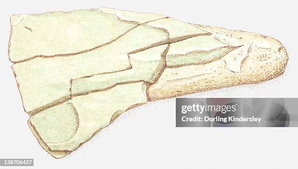 illustrations, cliparts, dessins animés et icônes de illustration of shale in rough form - argile schisteuse