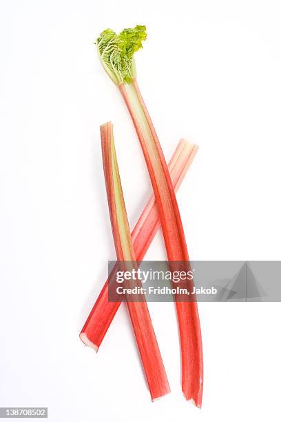 studio shot of rhubarb - rhubarbe stock pictures, royalty-free photos & images