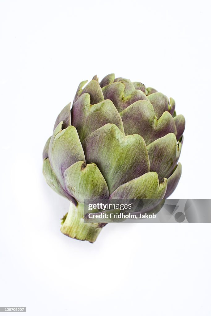 Close-up studio shot of organic artichoke