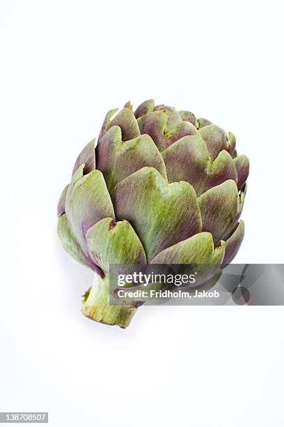 close-up studio shot of organic artichoke - artichoke stock pictures, royalty-free photos & images