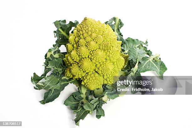 close-up studio shot of organic romanesco broccoli - chou romanesco stock pictures, royalty-free photos & images