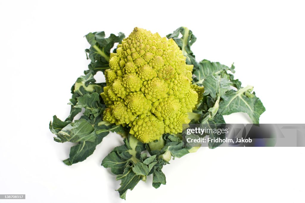 Close-up studio shot of organic Romanesco broccoli