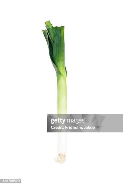 close-up studio shot of organic leek - poireau photos et images de collection