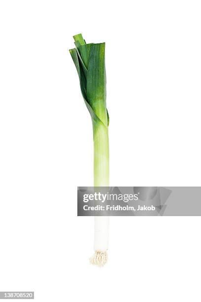 close-up studio shot of organic leek - porro foto e immagini stock