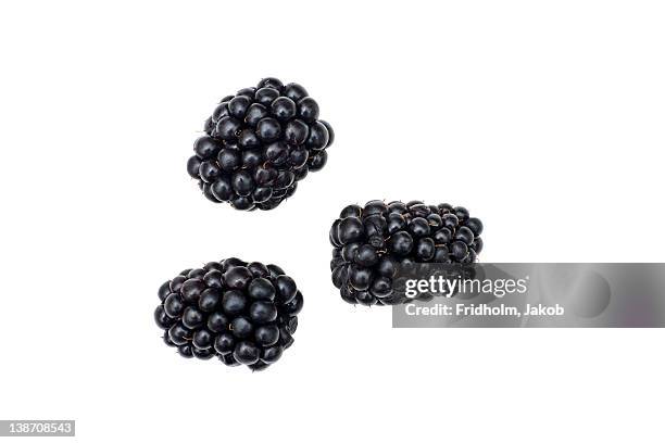 close-up studio shot of organic blackberries - blackberry stock pictures, royalty-free photos & images