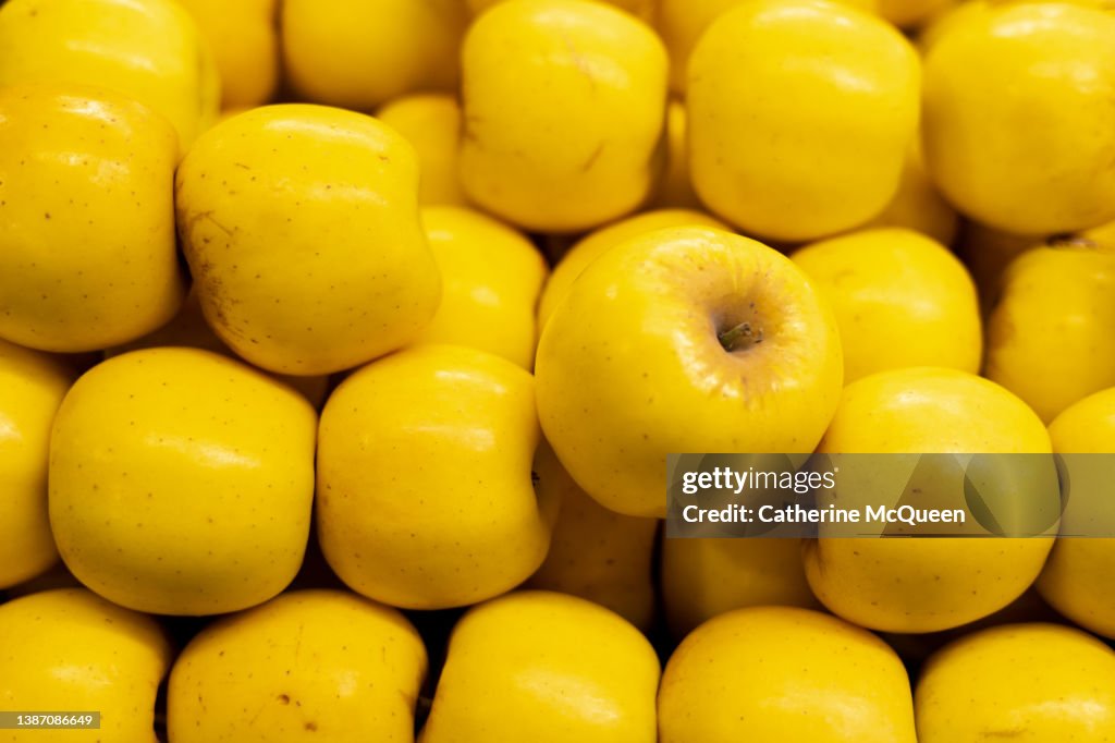 Heap of fresh golden apples