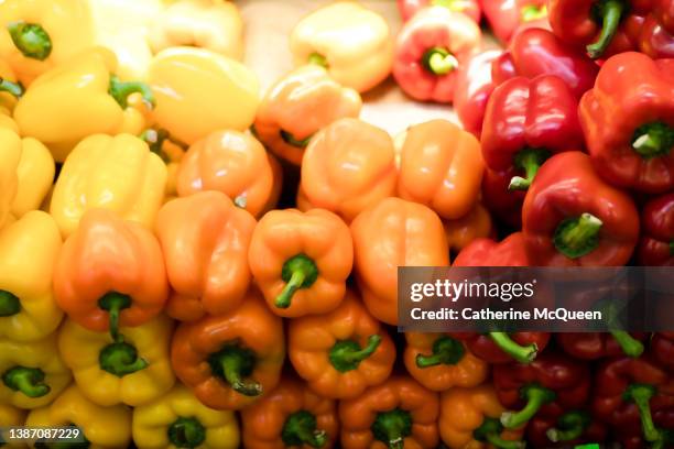 heap of fresh organic yellow, orange & red bell peppers at market - orangefarbige paprika stock-fotos und bilder
