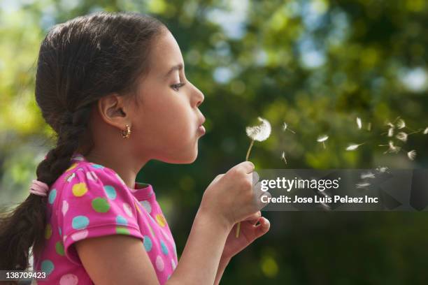 hispanic girl blowing dandelion seeds - child dandelion stockfoto's en -beelden