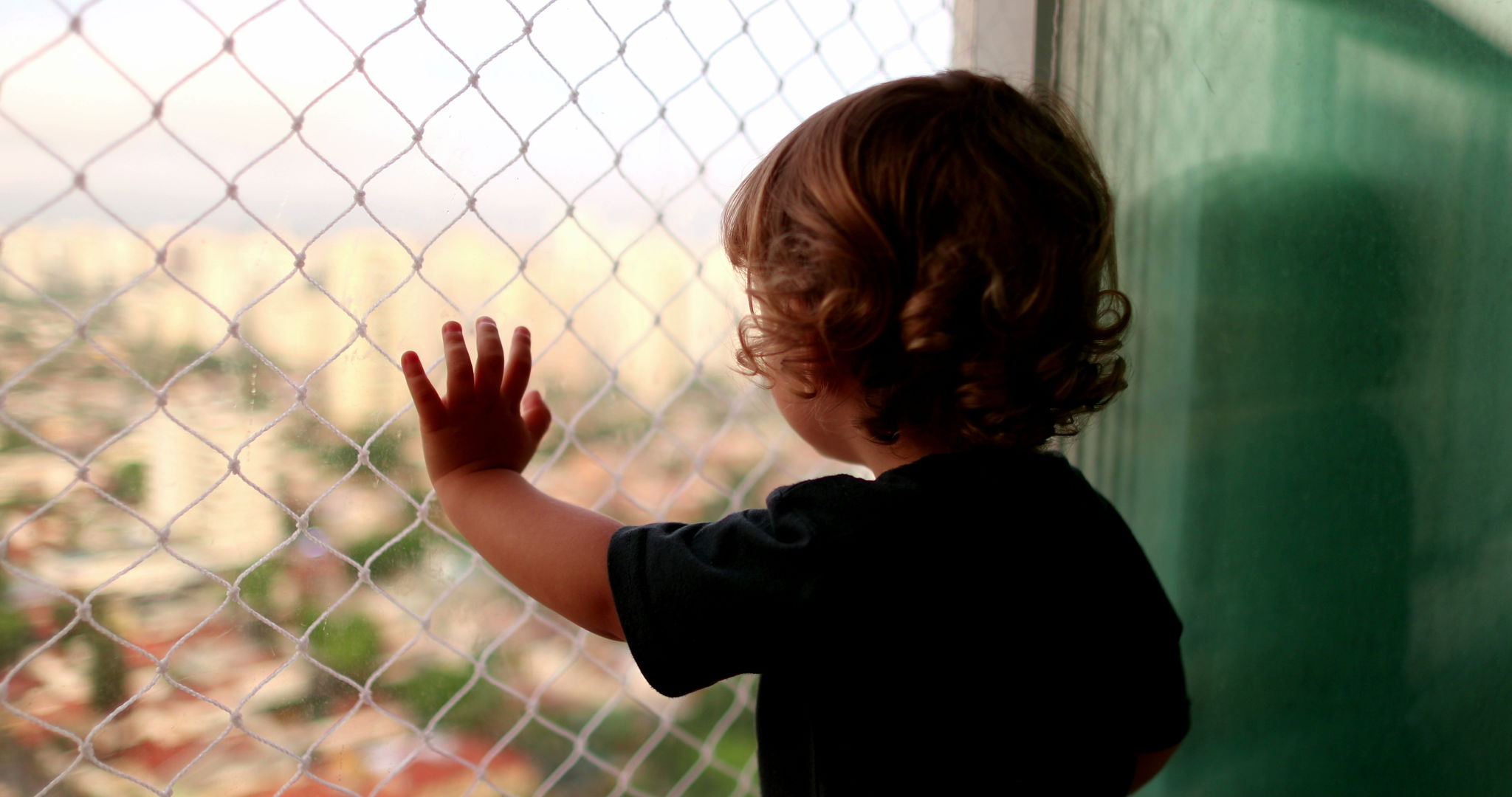 child pet safety fence